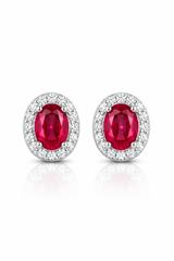 Belle Époque Halo Stud Earrings